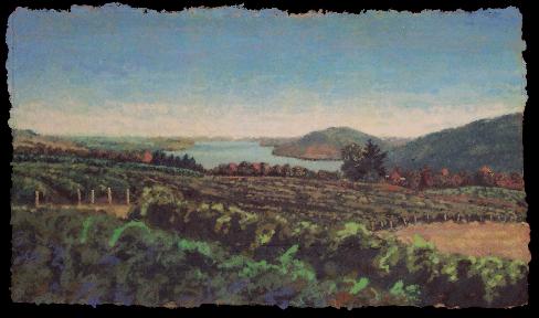 cdgavineyards